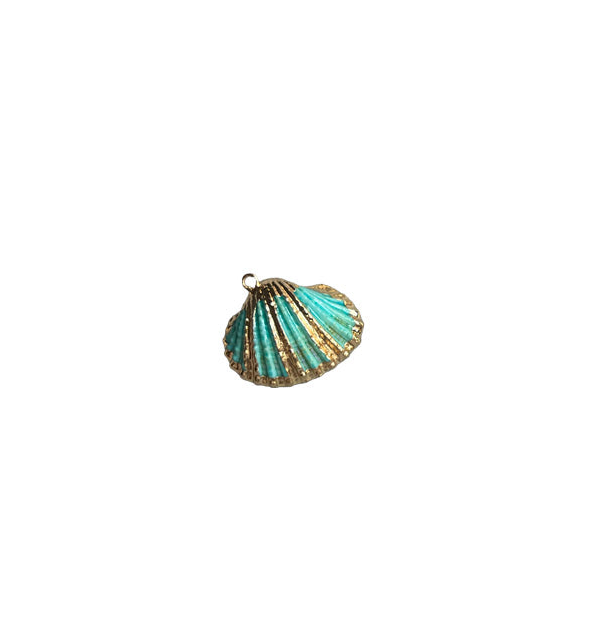 Aqua seashell