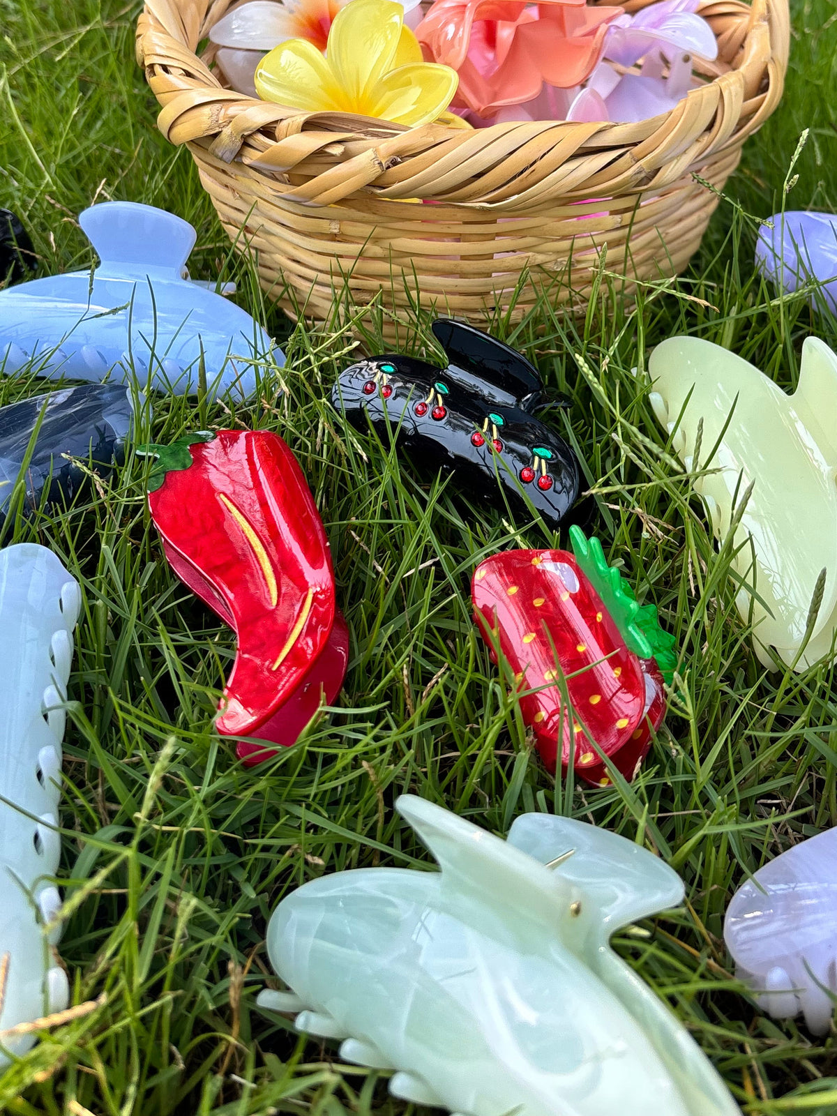 Spicy hairclips