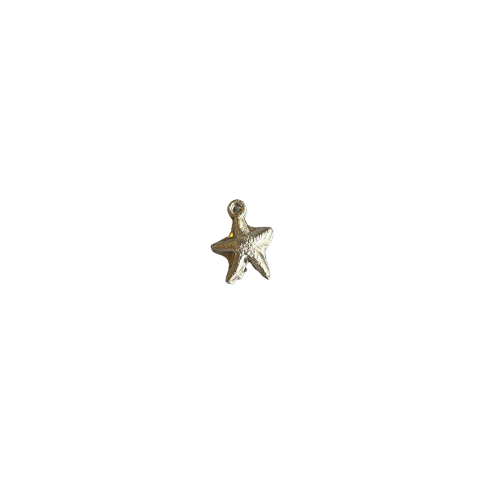 Silver starfish charm