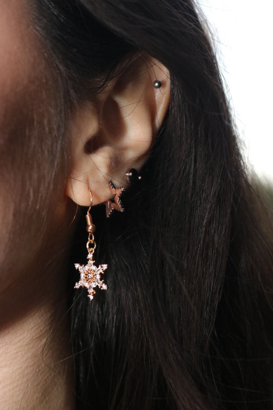 Snow Flake Earrings