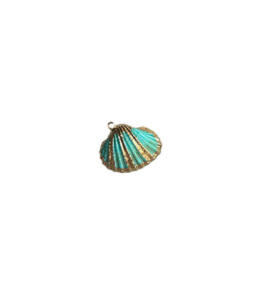 Aqua seashell
