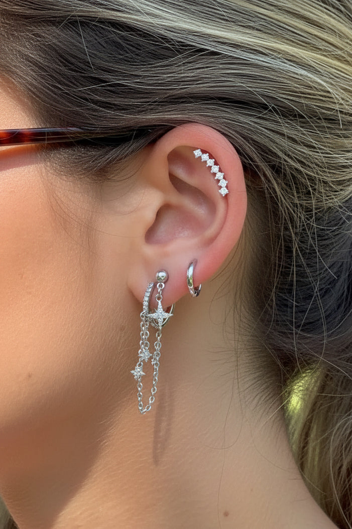 Shiny set earrings