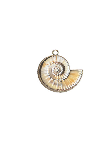 Twirly big seashell