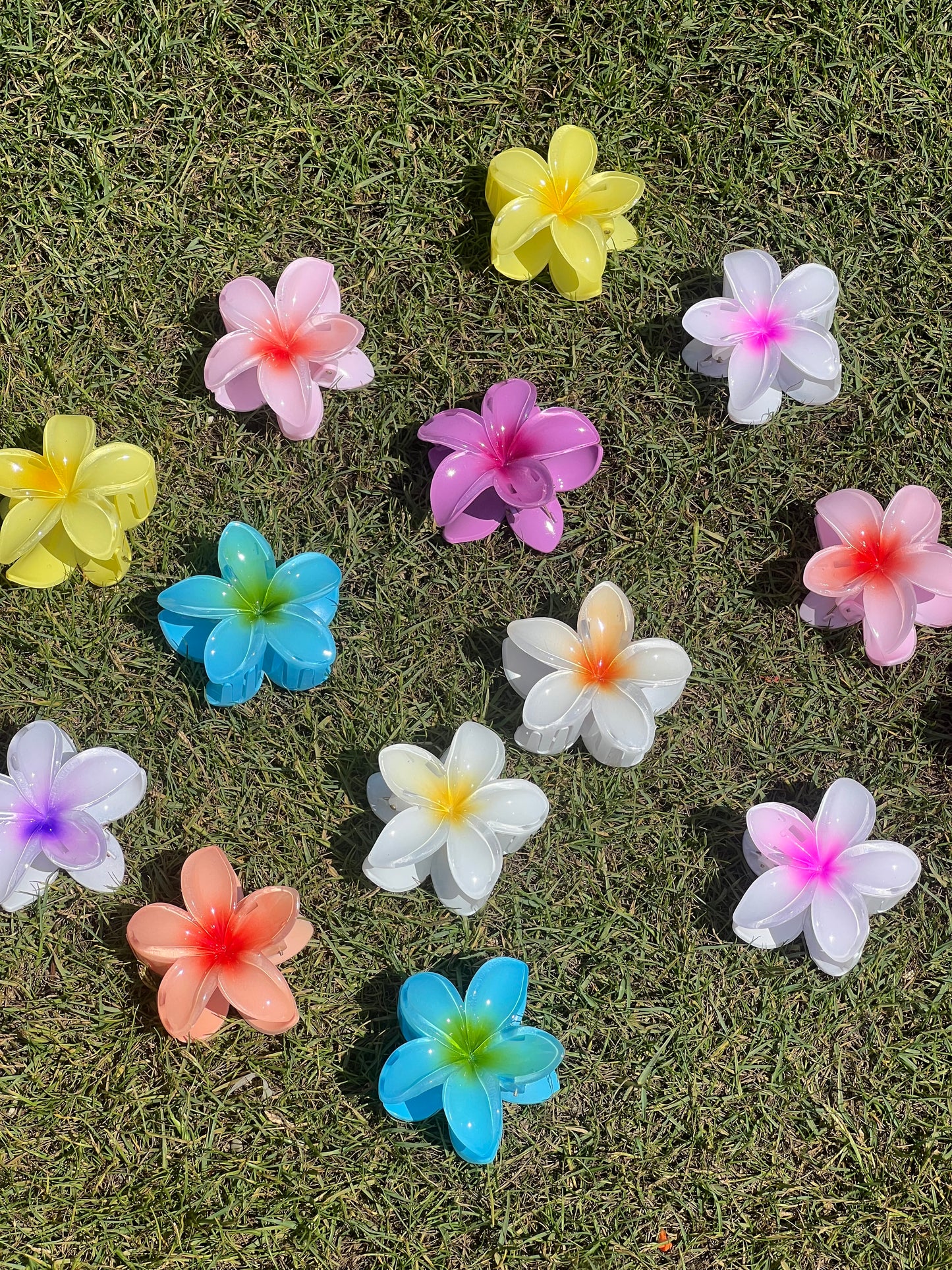Flower clips